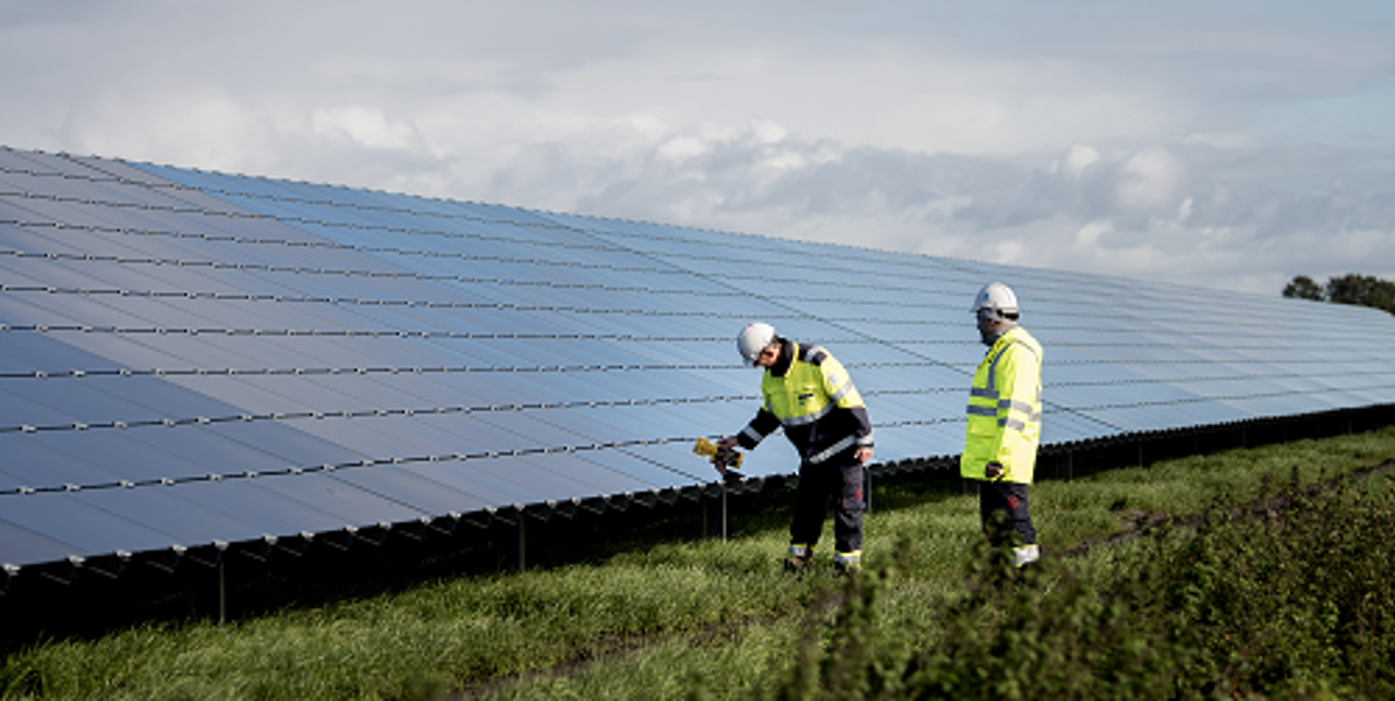 Employees in solar park